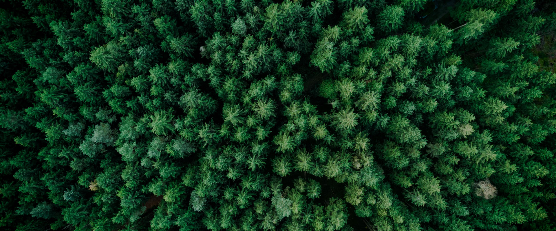 ESG Background